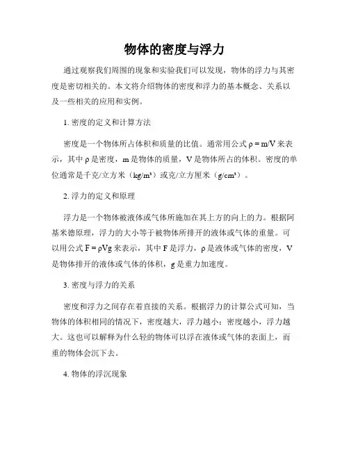 物体的密度与浮力