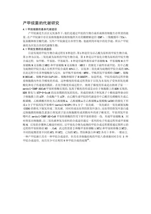 产甲烷菌的代谢研究