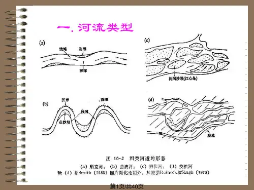 沉积相研究之河流相PPT课件