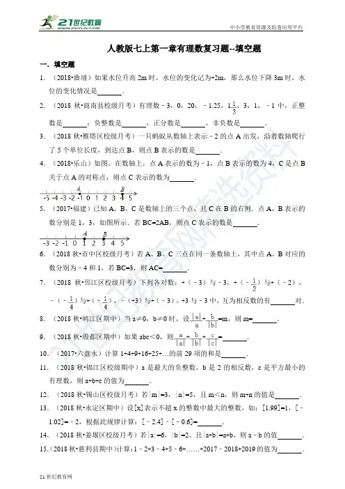 第一章 有理数复习题--填空题（含解析）