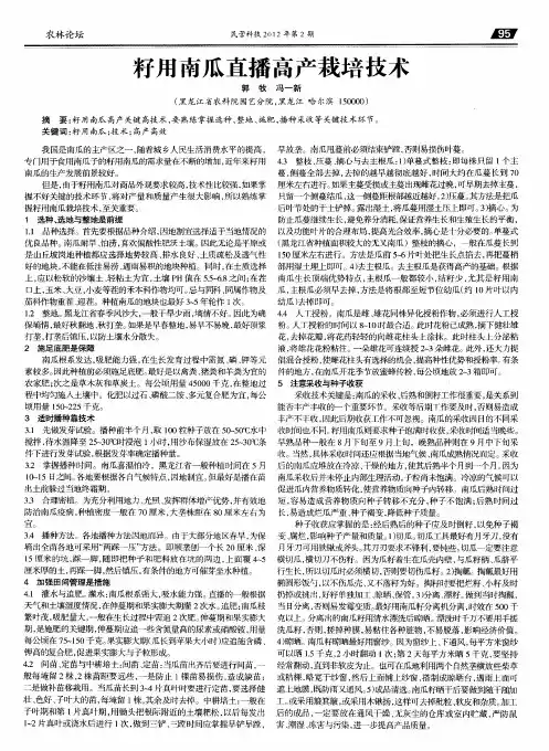 籽用南瓜直播高产栽培技术