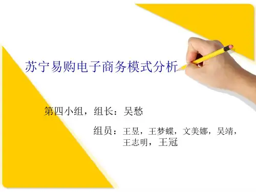 苏宁易购电子商务模式分析
