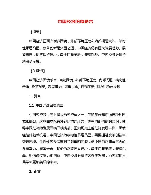 中国经济困境感言