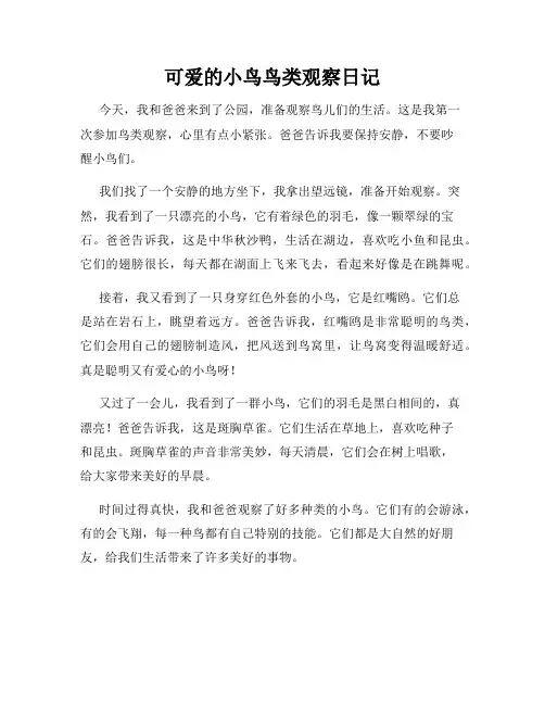  小学三年级作文可爱的小鸟鸟类观察日记