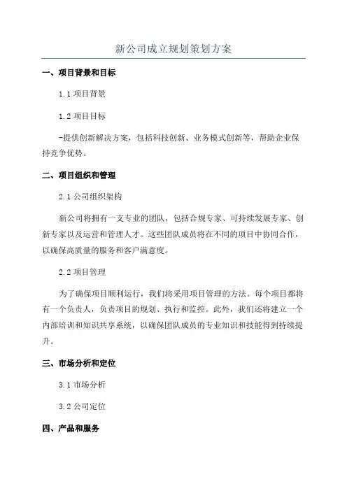 新公司成立规划策划方案
