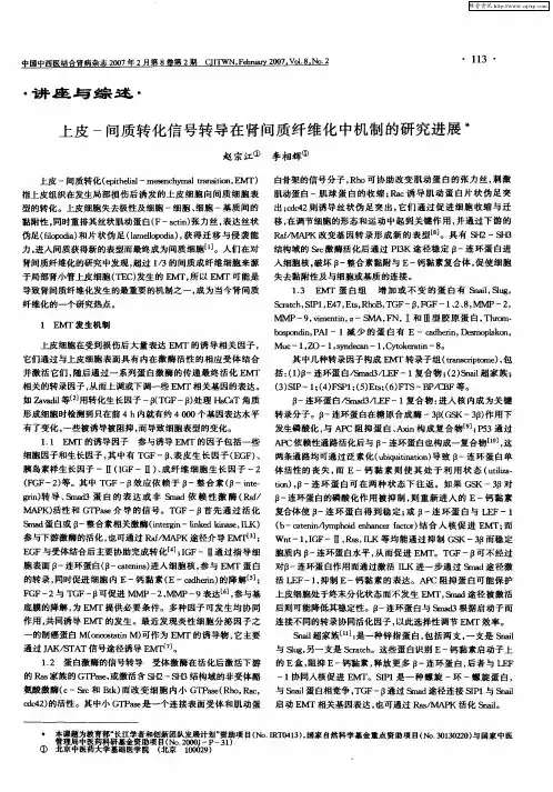 上皮-间质转化信号转导在肾间质纤维化中机制的研究进展