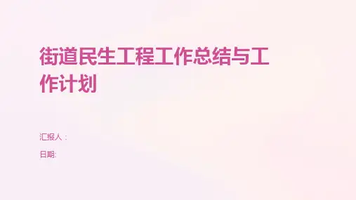街道民生工程工作总结与工作计划