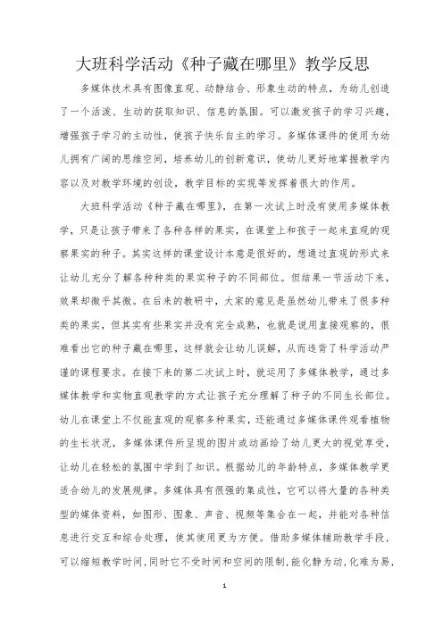 大班科学活动《种子藏在哪里》教学反思