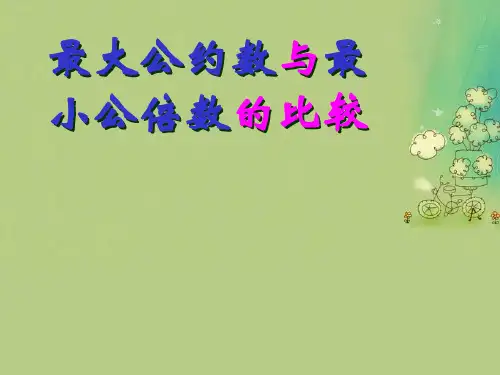 人教版最大公约数最小公倍数PPT教学课件