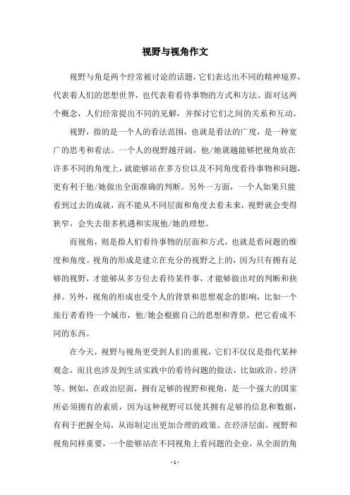 视野与视角作文