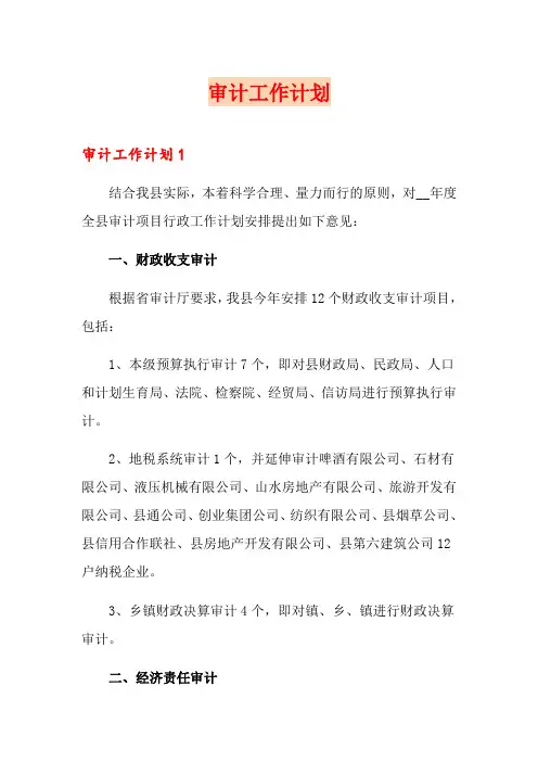 审计工作计划