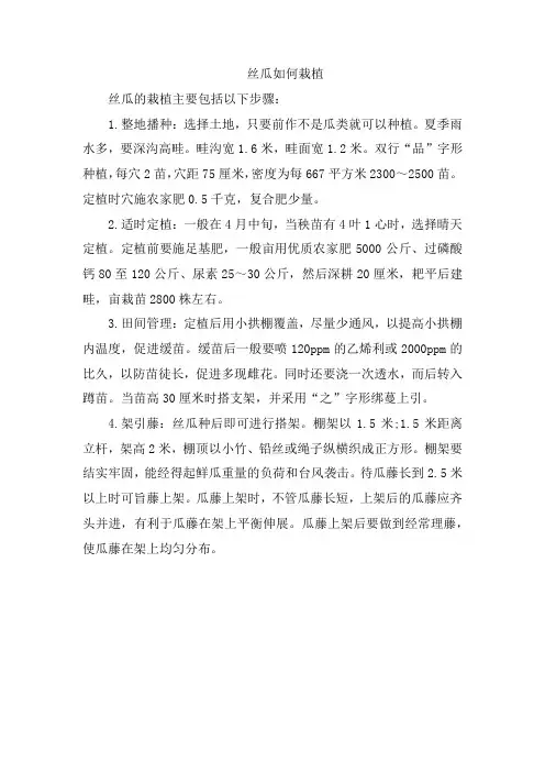 丝瓜如何栽植