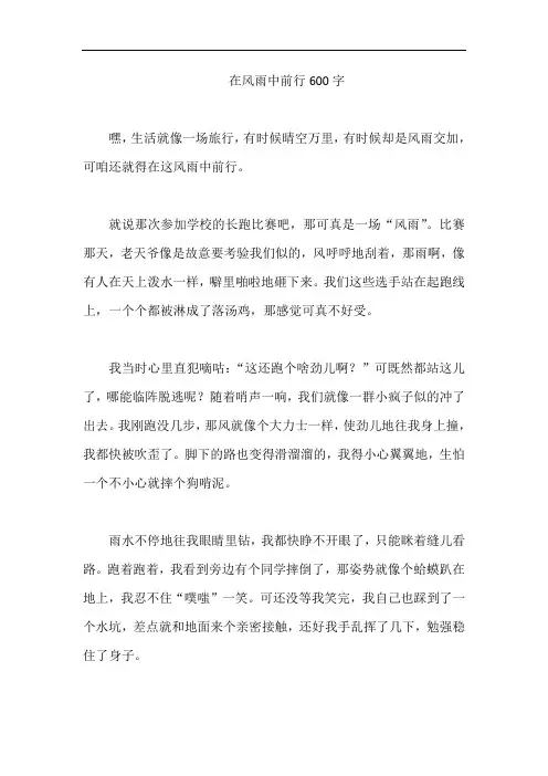 在风雨中前行600字