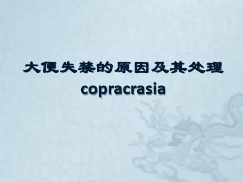 大便失禁的原因及其处理