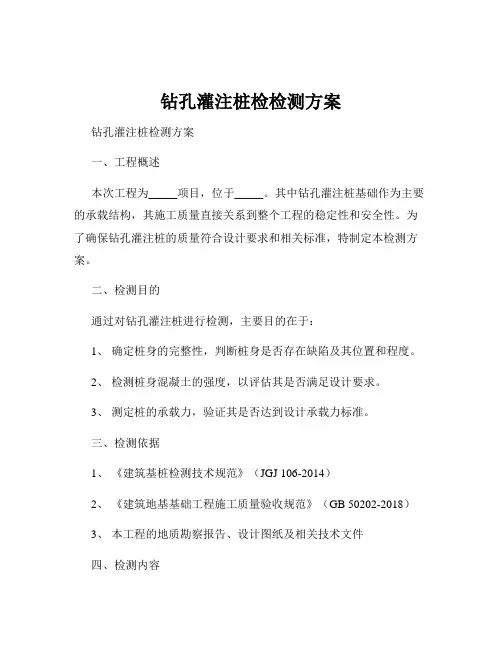 钻孔灌注桩检检测方案