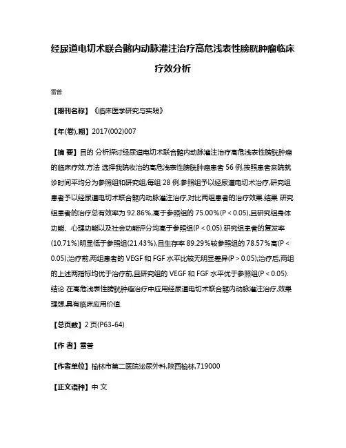 经尿道电切术联合髂内动脉灌注治疗高危浅表性膀胱肿瘤临床疗效分析