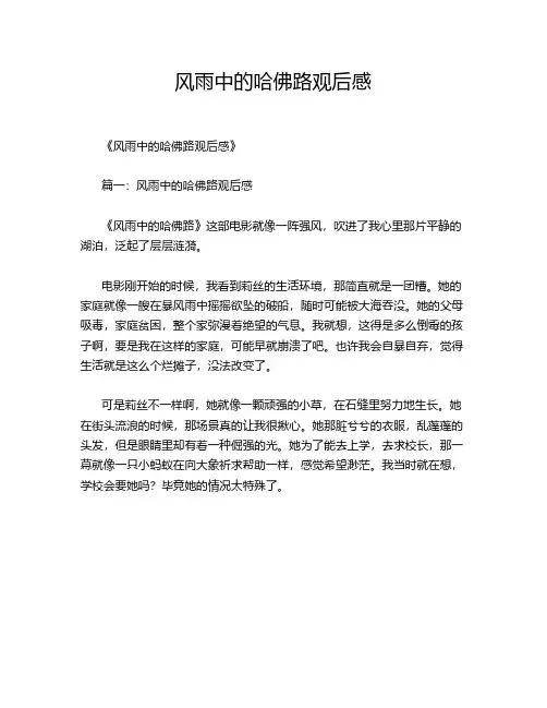 风雨中的哈佛路观后感