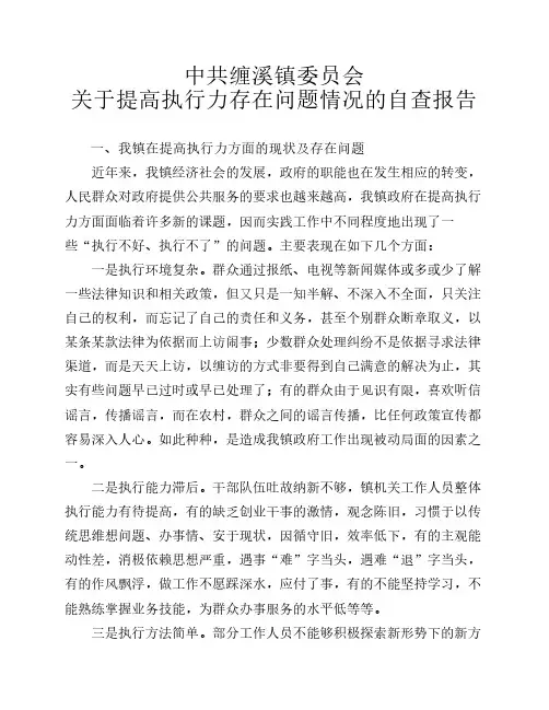 关于提高执行力存在问题情况的自查报告