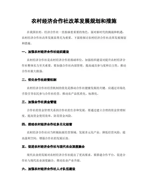 农村经济合作社改革发展规划和措施