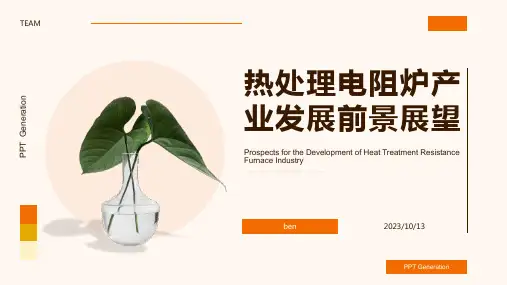 2023年-2025年中国热处理电阻炉产业发展前景及供需格局预测报告报告模板