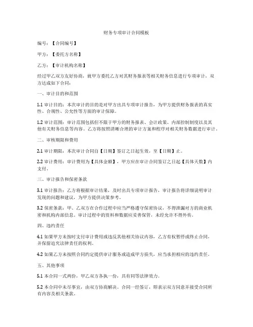 财务专项审计合同模板