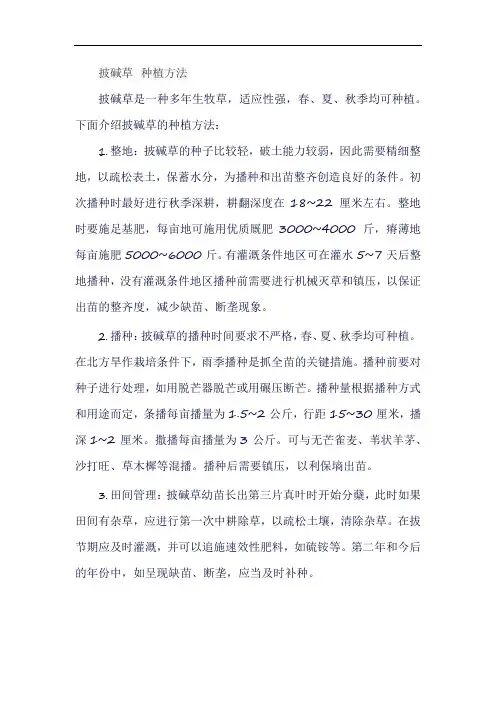 披碱草 种植方法