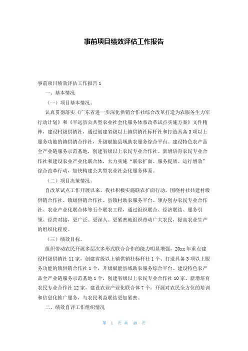 事前项目绩效评估工作报告