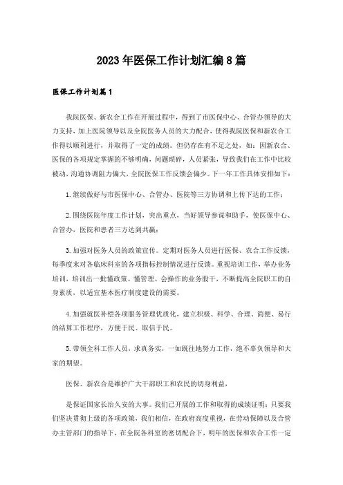 2023年医保工作计划汇编8篇