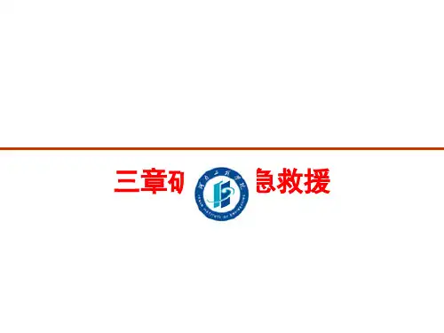 矿山应急救援 模板与应用.pptx