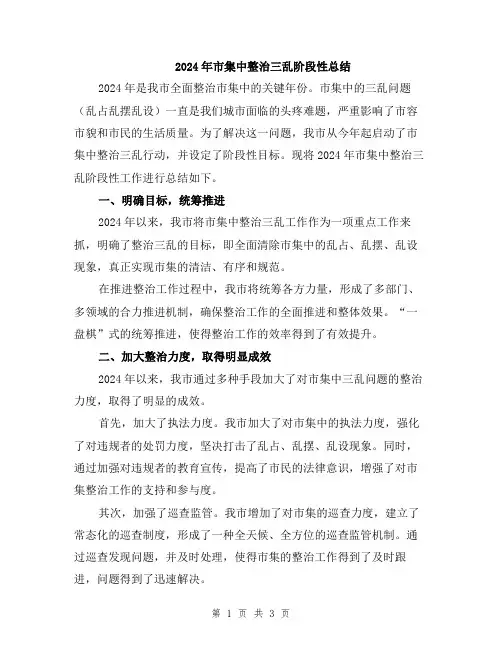 2024年市集中整治三乱阶段性总结