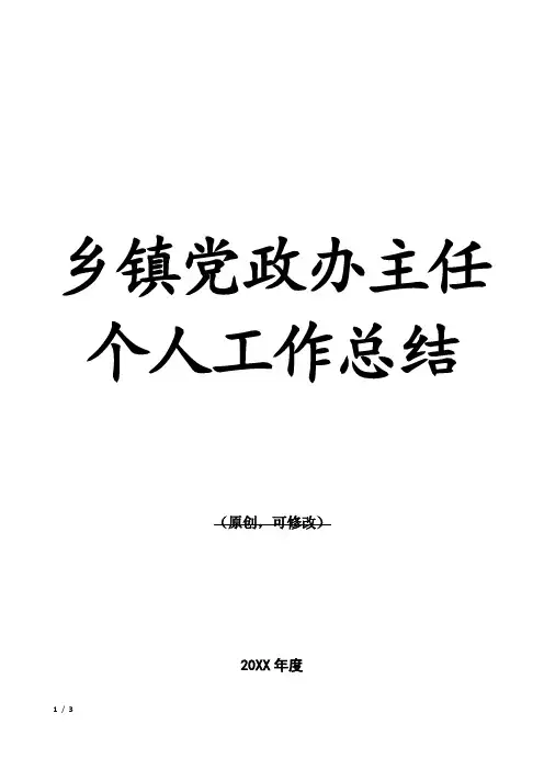 乡镇党政办主任个人工作总结
