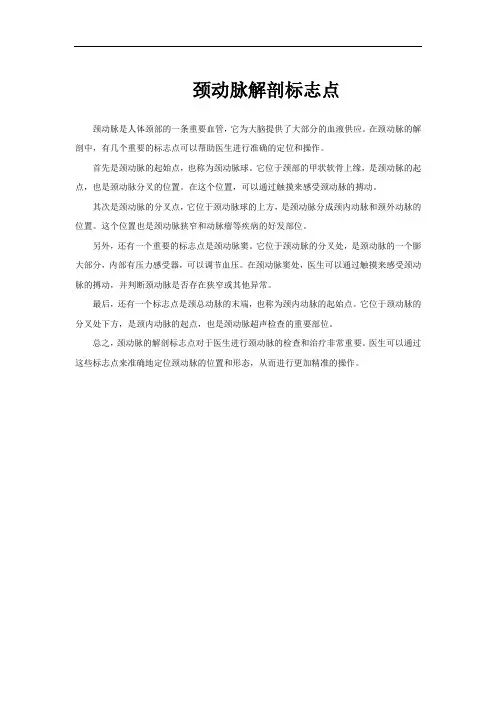 颈动脉解剖标志点