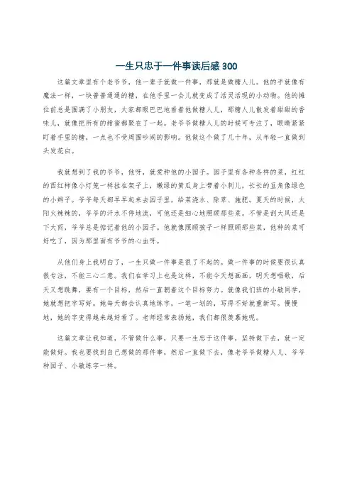 一生只忠于一件事读后感300