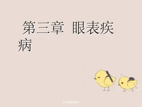 第三章眼表疾病