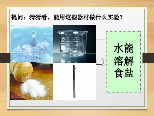 四年级上册科学课件- 一杯水能溶解多少克食盐 教科版 (20页PPT)