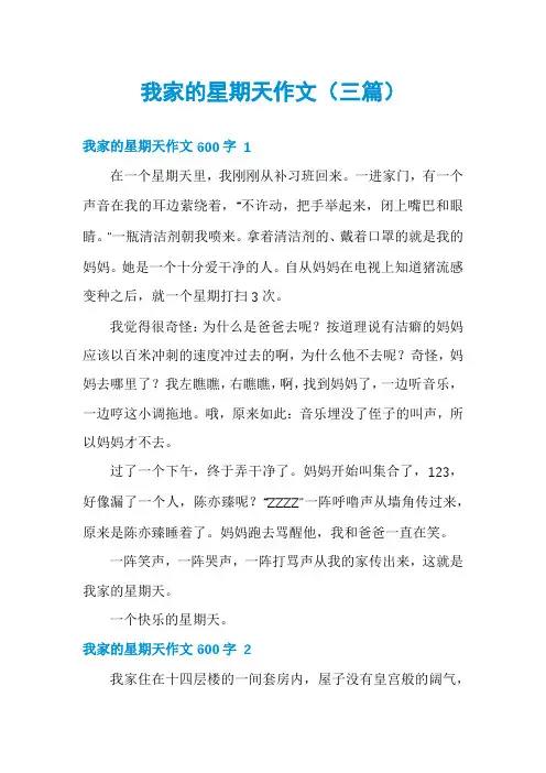 我家的星期天作文(三篇)