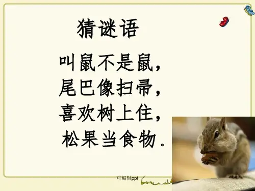 小学语文六年级上册《跑进家来的松鼠》精ppt课件