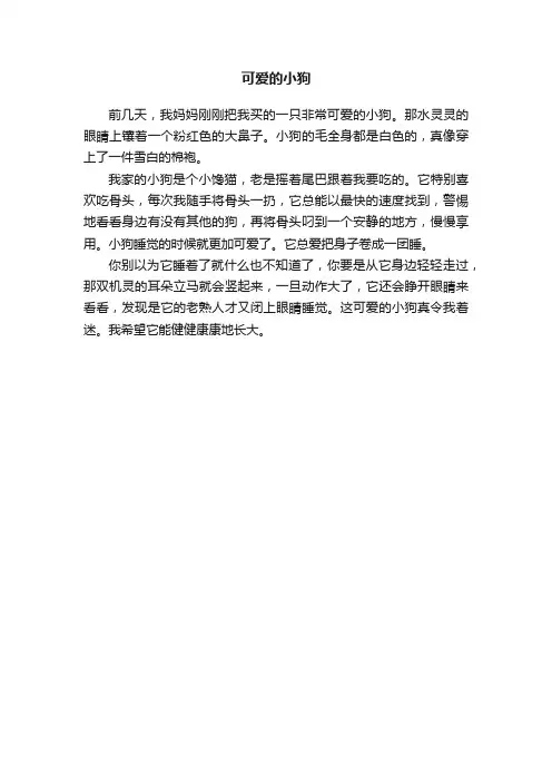 可爱的小狗