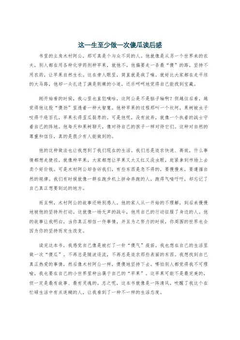 这一生至少做一次傻瓜读后感