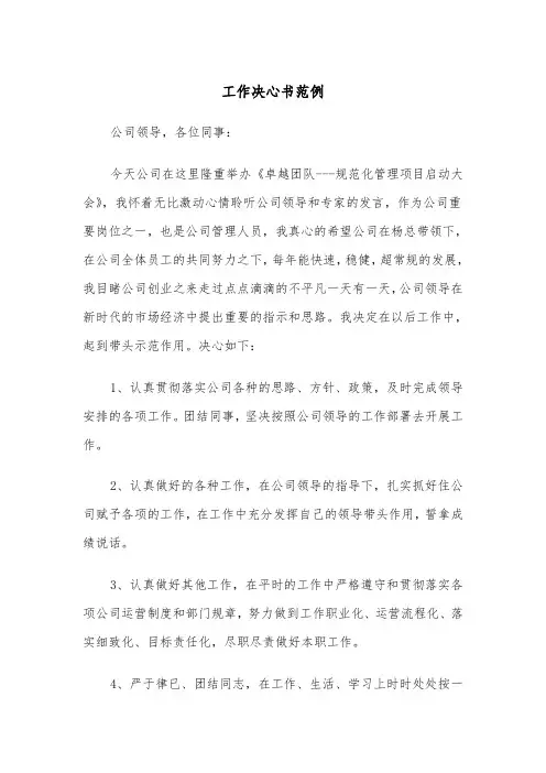 工作决心书范例（5篇）