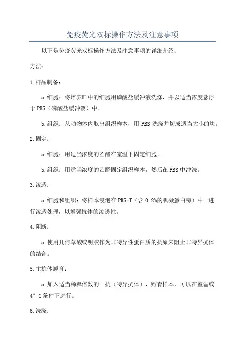 免疫荧光双标操作方法及注意事项