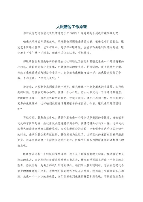 人眼睛的工作原理