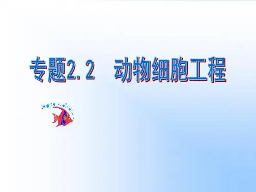 动物细胞工程PPT医学课件