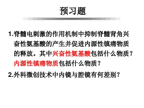 疼痛诊疗学：第六章微创介入手术治疗B