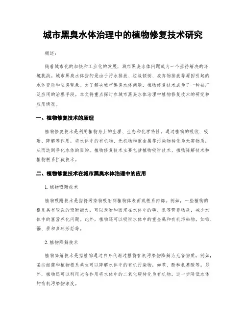 城市黑臭水体治理中的植物修复技术研究