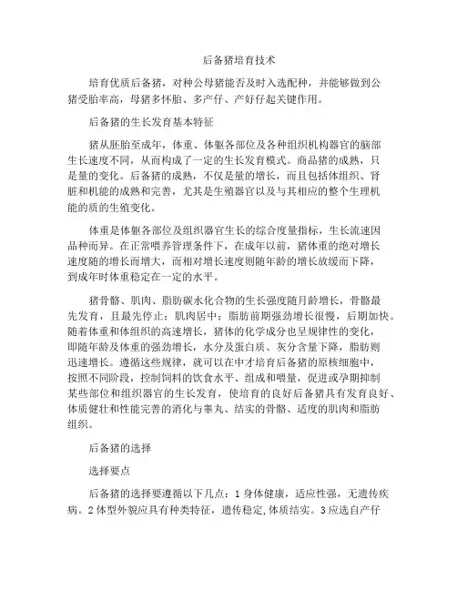 后备猪培育技术