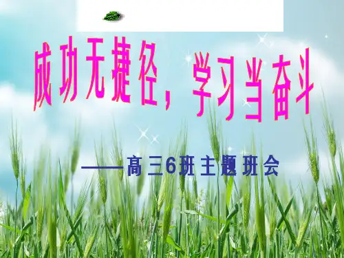 成功无捷径,学习当奋斗幻灯片PPT