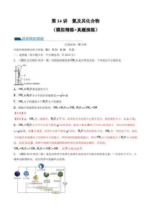 第14讲氮及其化合物(练习)-2025年高考化学一轮复习讲练测(新教材新高考)