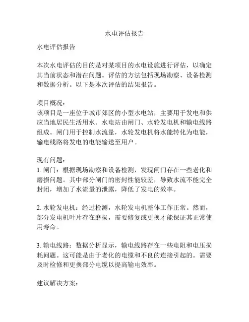 水电评估报告