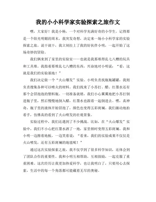 我的小小科学家实验探索之旅作文